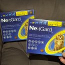 나루동물병원 | 마곡나루 약국 추천 [마곡아임약국] - 넥스가드 스펙트라 판매 동물약국 (주차 편리)