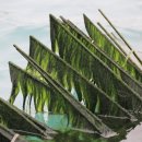 완도식품(주) 이미지
