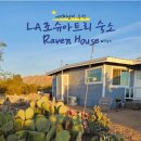 미국 LA여행 조슈아트리 국립공원 에어비앤비 숙소 레이븐하우스 raven house