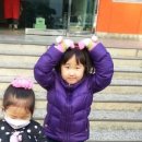 금련사유치원 이미지