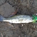 여주-0527 이미지