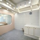 본애견미용실 이미지