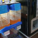 육일서비스 이미지