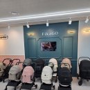 펫뜨락 | 베네펫매장 방문후기 강아지 슬개골 유모차 추천