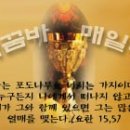 [매일미사(가해) 08-06-20] - 연중 제11주간 금요일 이미지