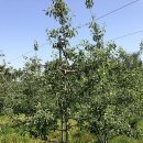 문성농장 이미지