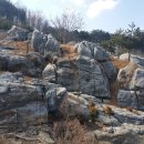 대촌마을식당