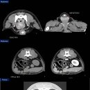 대경연합동물영상센터 이미지