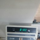 로하스복싱클럽 이미지