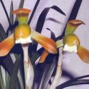 (주)금화 이미지