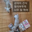 멍이부뚜막 이미지