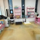 조선생 펫살롱 이미지