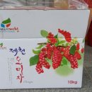 천등산농장 이미지