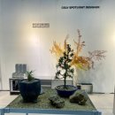 삼성데코 | 삼성 코엑스 [2023 서울 홈테이블데코페어] 관람 후기