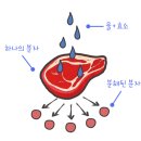 씨유펫 불당점 이미지
