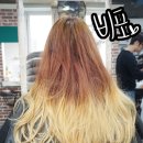 다올구제 이미지