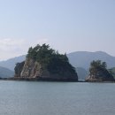 나로도민박