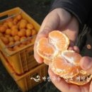 은기농장 이미지