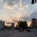 야성식당 이미지