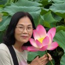 양수역 연꽃.수수카페 이미지