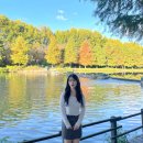 여주도서관문화동2층화장실 | 여행 :: 광주에서 담양 가는 법 | 무등도서관 담양 버스 문화동시외버스 |담양 카페 추천 |관방제림...