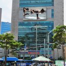 선명빌딩 이미지