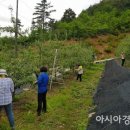 정송농장 이미지