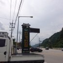 번개반점 이미지