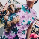 뷰티반려문화 이미지