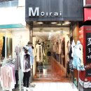 모이라이(Moirai) Daum카페