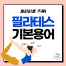 바비필라테스 이미지