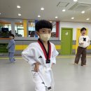 용인대 아름태권도 이미지