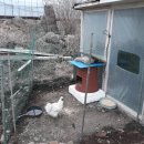 독립부화장 이미지