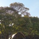 별빛관광농원글램핑장 | 완도글램핑장 찾는다면 여기, 이든관광농원글램핑 가족여행 후기 🌿