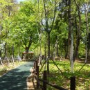 광주사직공원 이미지