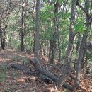 석봉축산 티스토리