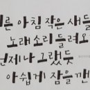 쉽고 예쁜 캘리그라피 이미지