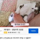 성기목장 이미지