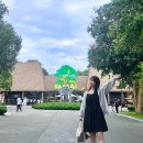 한국쿄와기린(주) | 푸꾸옥 자유여행 빈펄사파리 입장권 주트램 가격, 기린식당 후기 히위고 체크아웃 투어!