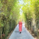 조성5일시장 | 베트남 다낭 가족여행 일정 빈원더스 사파리 3박 5일 경비