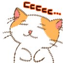 고양이 행복 쉼터 이미지