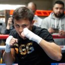 복싱피스트 이미지