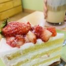 카페돌옷 이미지