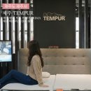 템퍼제주점 | 제주 템퍼 프로 프리마 PRIMA 제주 매트리스 신혼 침대
