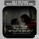 평화로운 중고나라 거래후기, 집순이의 바쁜하루