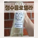 초록이의 건강 비밀 시공간속에아쿠아 친환경 액체비료 사용 후기