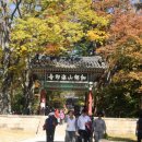 다라국황금이야기길 이미지