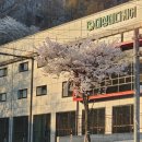 대성메디케어 이미지