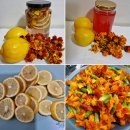 자연애농장 | 메리골드 레몬청 만들기 체험 - 자연애맑은숲