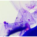 황제 동물병원 이미지